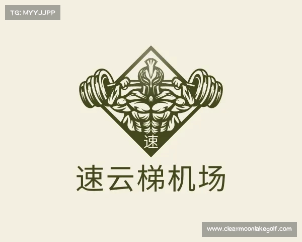 关于速云梯机场