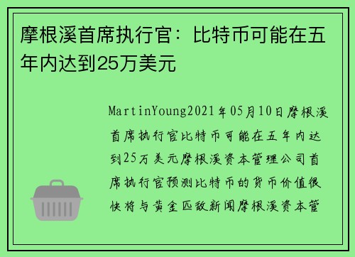 摩根溪首席执行官：比特币可能在五年内达到25万美元 